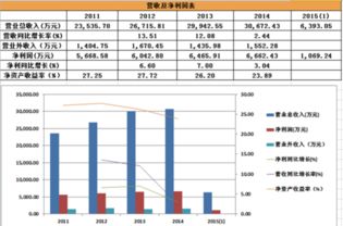 非新不炒 新股掘金之先鋒電子與厚普股份信息系統(tǒng)集成服務(wù)概覽